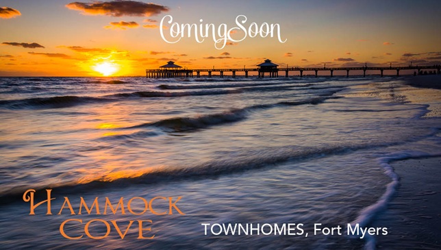 DR Horton building Hammock Cove - 136 New Townhomes in Gateway Golf & Country Club